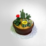 Květináč s kaktusy