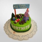 dort dětský kulatý hra Fortnite